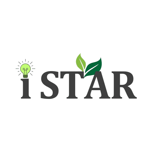 i-star Logo