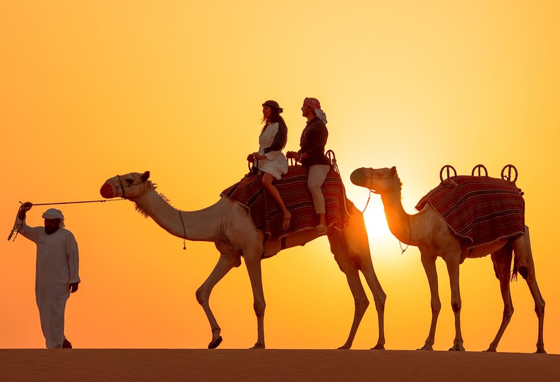 Camel riding at sunset in Dubai desert